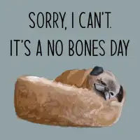 No Bones Day - design