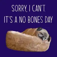 No Bones White lettering - design