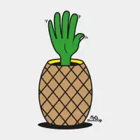 ANANAS - design