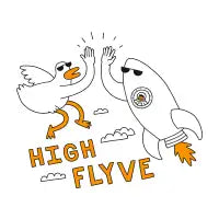 High Flyve - design