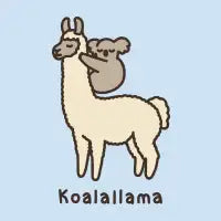 Koalallama - design