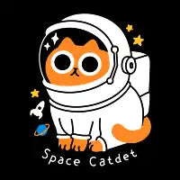 Space Catdet - design