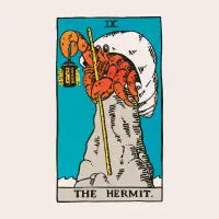 The Hermit Crab - design