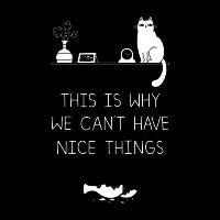 This is Why We Can't Have Nice Things - design
