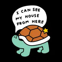 Turtle House - design