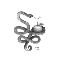 Snake & apple - design