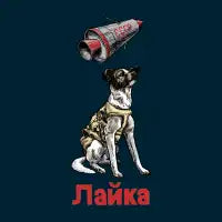Laika - design