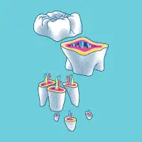 Totally Toothular - design