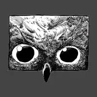 Peeking owl - design
