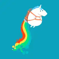 Fat Unicorn on Rainbow Jetpack - design