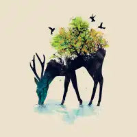 Watering (A Life Into Itself) - design