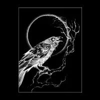 CROW - design
