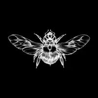 WINGED SPIRIT - design
