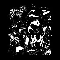 Black & White Kingdom - design
