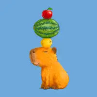 Capybalance - design