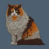 NORWEGIAN FOREST CAT - design
