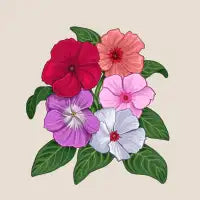 Vinca flowers - design