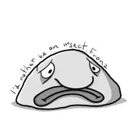 Blobfish read Kafka - design