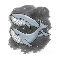 Whales - design
