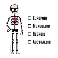 Humanoid - design