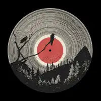 Bird On It. The Flight Path - design