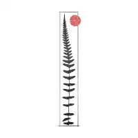 Fern - design