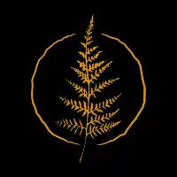 Forest Live - design