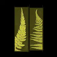 Forest Live - design
