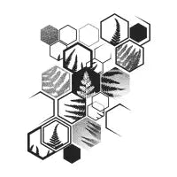 Hexagonal Fern - design