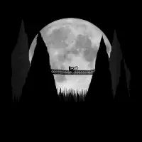 MTB Forest Rider - design
