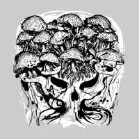 Psychedelic Visions - design