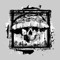 Psychedelic Visions - design
