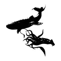 Whale and squid - design