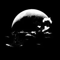 Midnight Surf - design