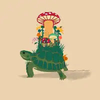 Turtle Travels - design
