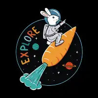 Space Rabbit - design