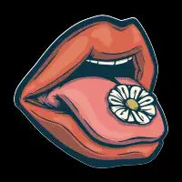 Daily Dose - design