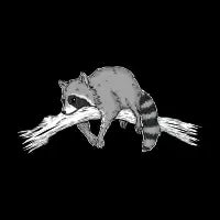 Trash Bandit - design