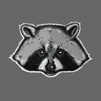Trash Panda - design