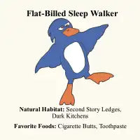 Sleepwalker - design
