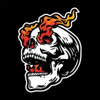 skull on fire - design