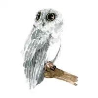 Watercolor Grey Owl - design
