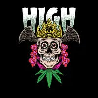 HIGH - design