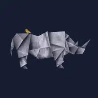 Rhinogami - design
