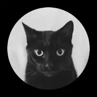 Cat - design