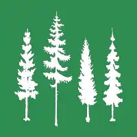 Four Trees - design