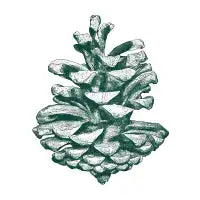Green Pine Cone - design