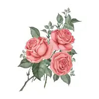 Roses - design