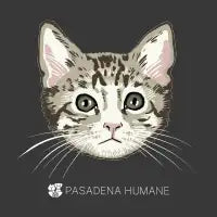 Blake - design