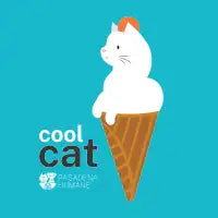 Cool Cat - design